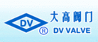 大高DV