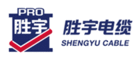 胜宇SHENGYU