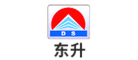 东升DS