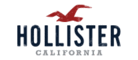 Hollister霍利斯特