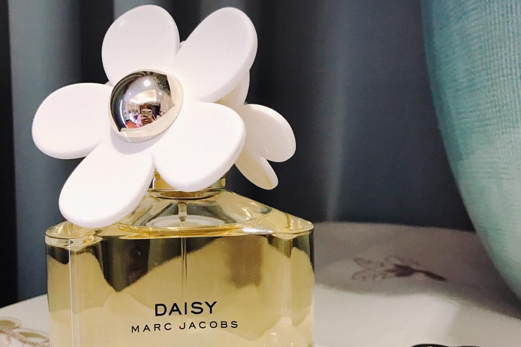 Daisy小雏菊