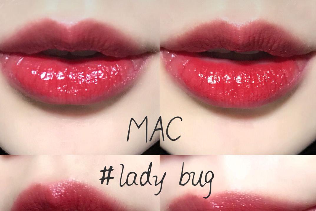 Mac lady bug 番茄红